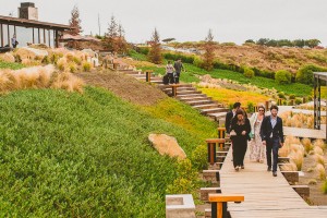Matrimonio en Hotel Alaia - Punta de Lobos, Pichilemu